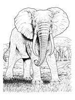 coloriage elephants dans la savane